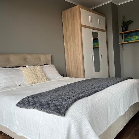 Otium Apartment Cluj Napoca Bagian luar foto